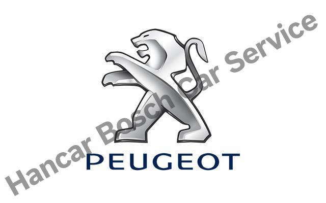 Bolu Peugeot Servisi 