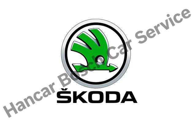 Bolu Skoda Servisi